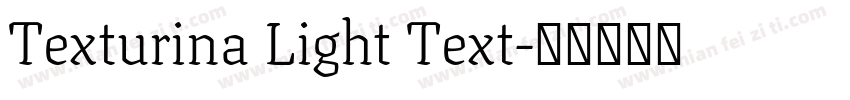 Texturina Light Text字体转换